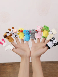 10PCS