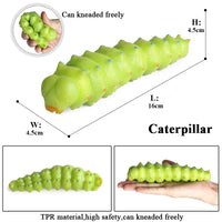 animals model 10