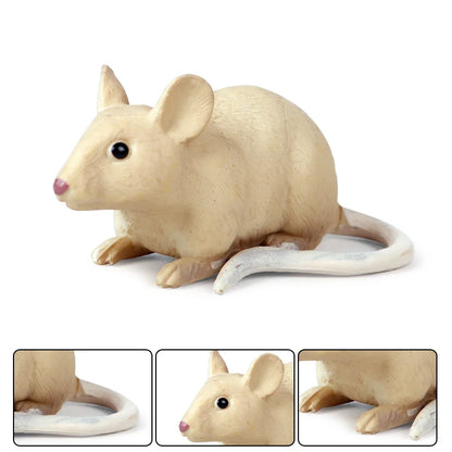 Oenux Wild Animals Simulation Rodent Marmot Mouse Model Squirrel Rat Chinchilla Action Figure Figurine Collection Cute Kid Toy