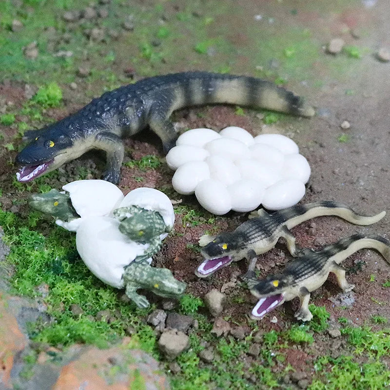 Oenux Wild Animals Action Figures Simulation Sarcosuchus Crocodiles Boar Croc Model PVC Collection Decorate Kids Educational Toy