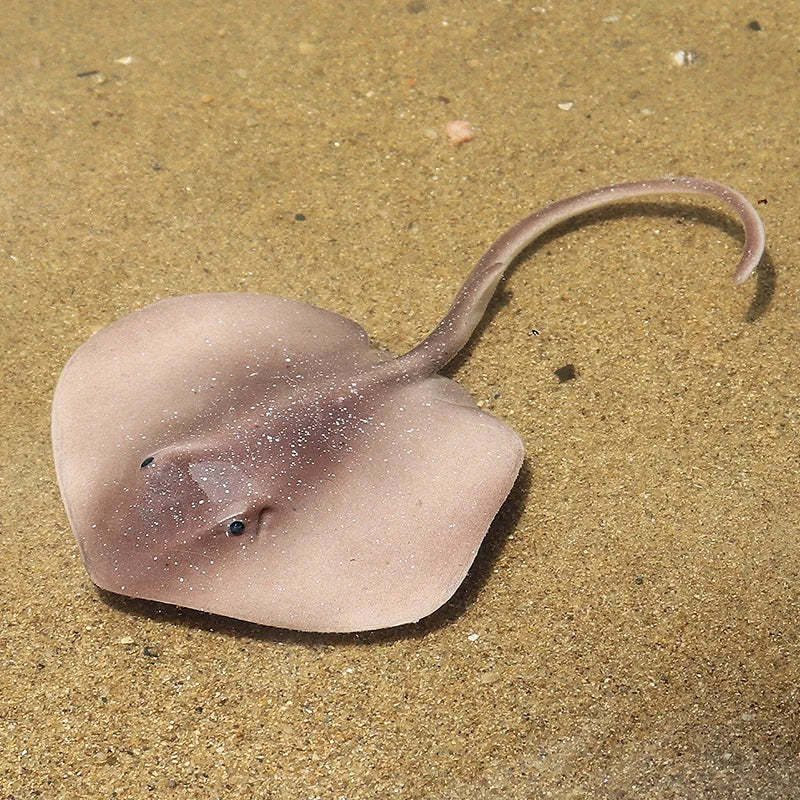 Oenux Sea Life Animals Ray Devilray Mantaray Model Action Figures Figurines Ocean Marine Aquarium Education Kids Toy Gift