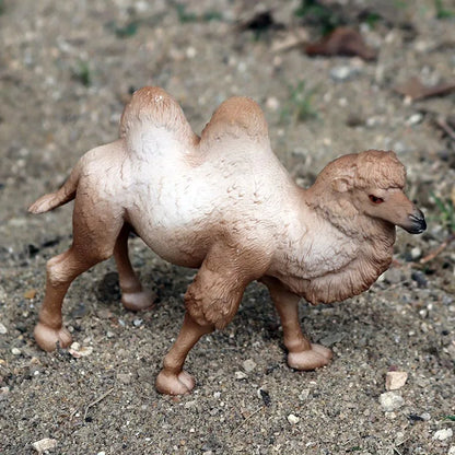Oenux Simulation Wild Animals Toy Desert Camel Donkey Alpaca Antelope Elk Deer Model Action Figures PVC Decoration Kids Gift