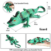 animals model 21