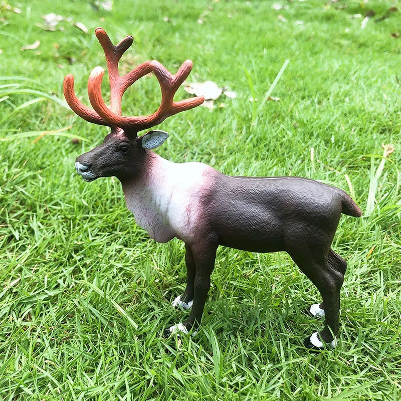 Oenux Simulation Wild Animals Toy Desert Camel Donkey Alpaca Antelope Elk Deer Model Action Figures PVC Decoration Kids Gift