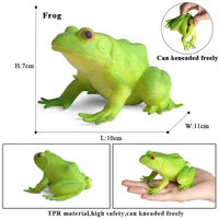 animals model 13