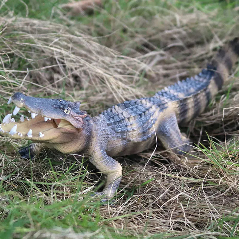 Oenux Wild Animals Action Figures Simulation Sarcosuchus Crocodiles Boar Croc Model PVC Collection Decorate Kids Educational Toy