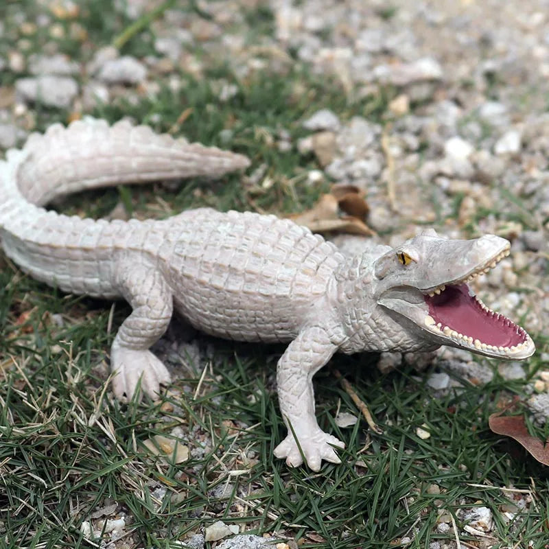 Oenux Wild Animals Action Figures Simulation Sarcosuchus Crocodiles Boar Croc Model PVC Collection Decorate Kids Educational Toy