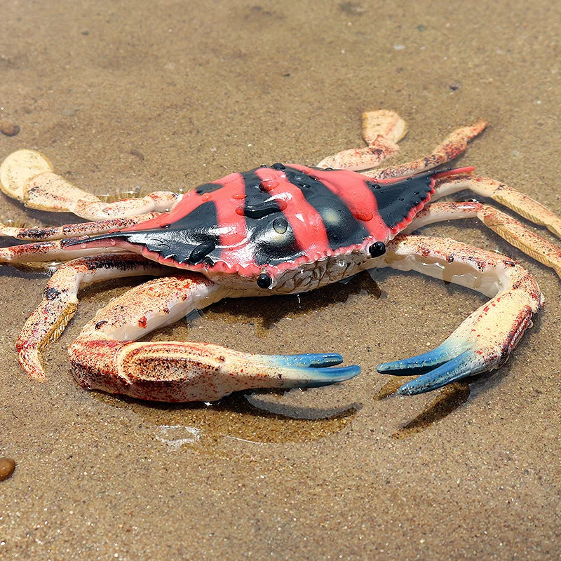 Oenux Ocean Animals Simulation Hermit Crab Nautiloidea Octopus Sea Life Model Figurines Action Figures Collection Kids Toy Gift