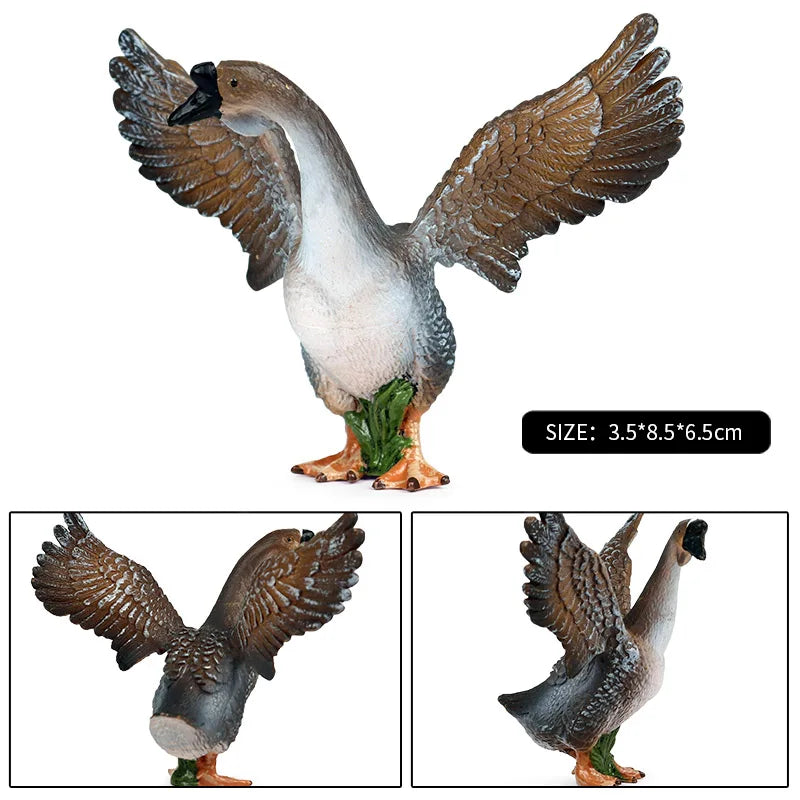 Oenux Poultry Model Simulation Goose Swan Gaggle Duck Flock Action Figures Farm Animals Figurine Miniature Education Kids Toy