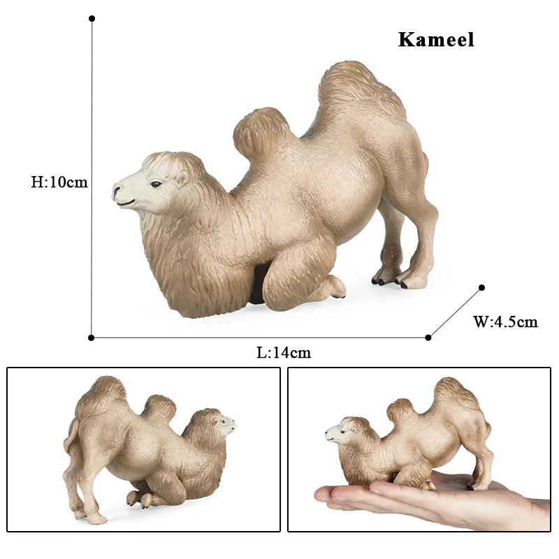 Oenux Simulation Wild Animals Toy Desert Camel Donkey Alpaca Antelope Elk Deer Model Action Figures PVC Decoration Kids Gift