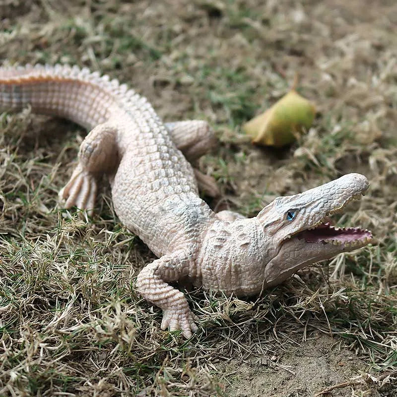 Oenux Wild Animals Action Figures Simulation Sarcosuchus Crocodiles Boar Croc Model PVC Collection Decorate Kids Educational Toy