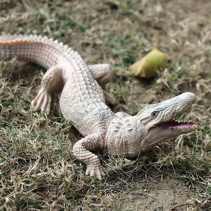 Oenux Wild Animals Action Figures Simulation Sarcosuchus Crocodiles Boar Croc Model PVC Collection Decorate Kids Educational Toy