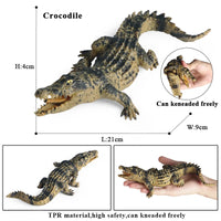 animals model 28