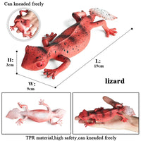 animals model 2