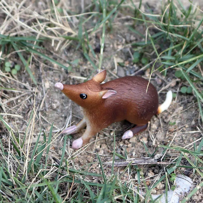 Oenux Wild Animals Simulation Rodent Marmot Mouse Model Squirrel Rat Chinchilla Action Figure Figurine Collection Cute Kid Toy