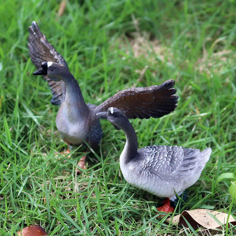 Oenux Poultry Model Simulation Goose Swan Gaggle Duck Flock Action Figures Farm Animals Figurine Miniature Education Kids Toy