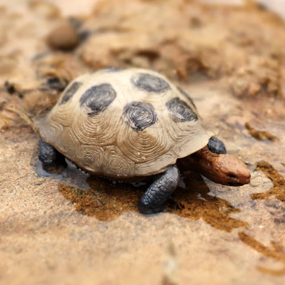 Oenux Ocean Animals  Leatherback Tortoise Turtle Growth Cycle Sea Life Model Figurines Action Figures PVC Education Kid Toy Gift