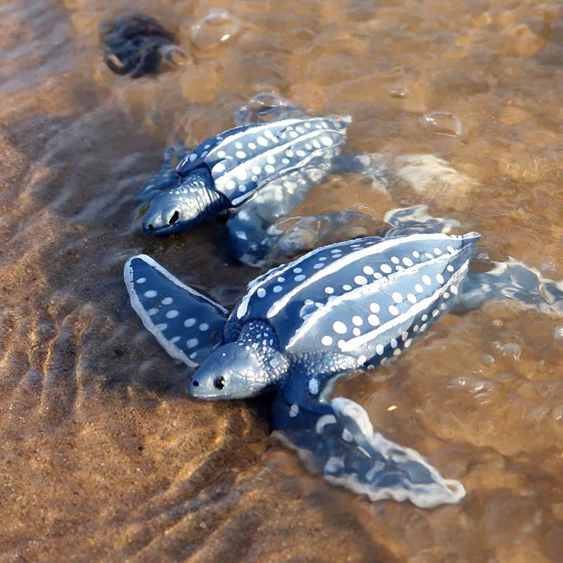 Oenux Ocean Animals  Leatherback Tortoise Turtle Growth Cycle Sea Life Model Figurines Action Figures PVC Education Kid Toy Gift