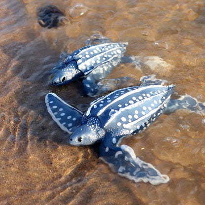 Oenux Ocean Animals  Leatherback Tortoise Turtle Growth Cycle Sea Life Model Figurines Action Figures PVC Education Kid Toy Gift