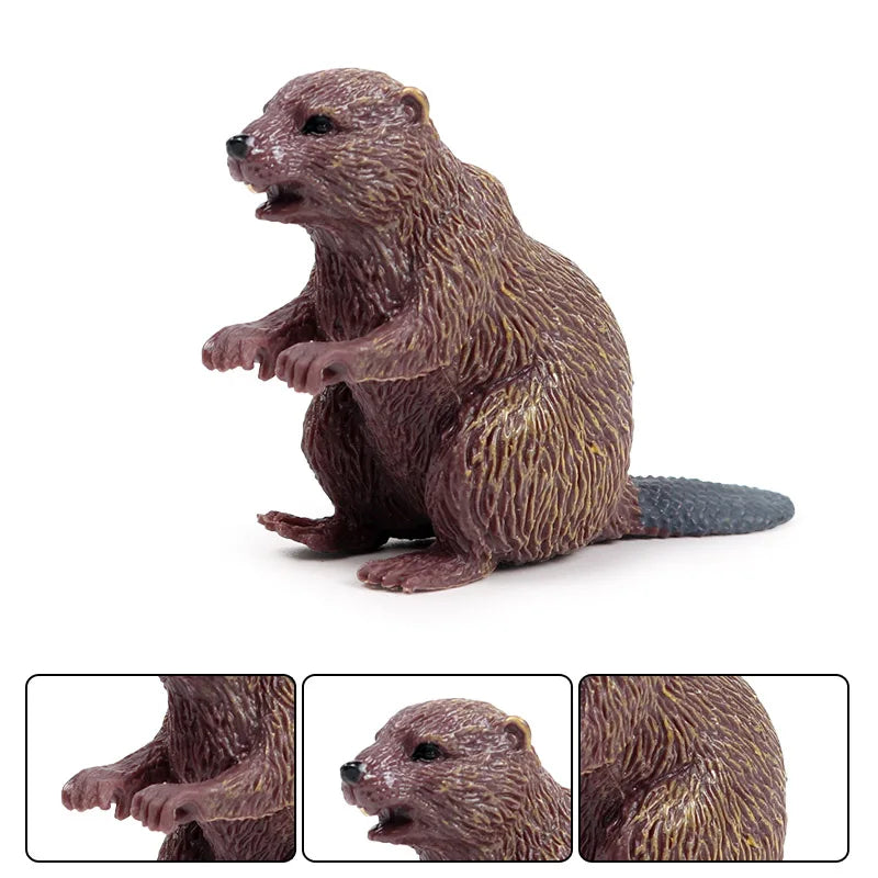 Oenux Forest Wild Animals Badger Brock Tapirus indicus Beaver Anteater Action Figures Model PVC Collection Education Kid Toy