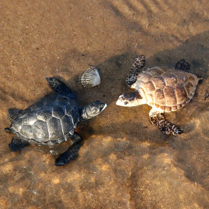 Oenux Ocean Animals  Leatherback Tortoise Turtle Growth Cycle Sea Life Model Figurines Action Figures PVC Education Kid Toy Gift