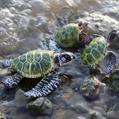 Oenux Ocean Animals  Leatherback Tortoise Turtle Growth Cycle Sea Life Model Figurines Action Figures PVC Education Kid Toy Gift