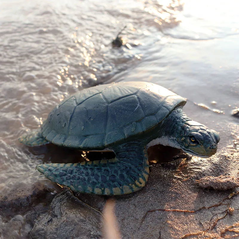 Oenux Ocean Animals  Leatherback Tortoise Turtle Growth Cycle Sea Life Model Figurines Action Figures PVC Education Kid Toy Gift