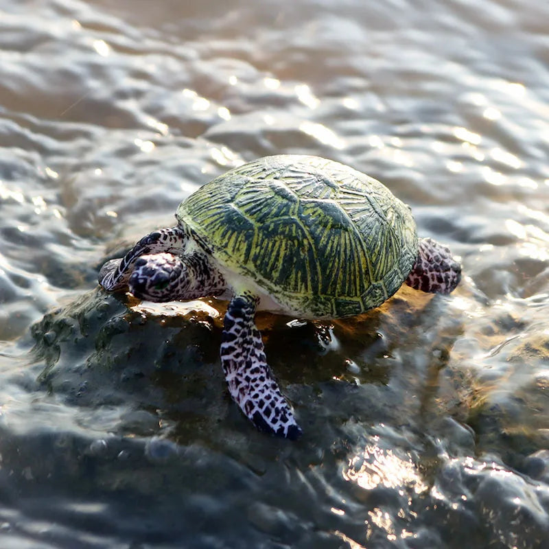 Oenux Ocean Animals  Leatherback Tortoise Turtle Growth Cycle Sea Life Model Figurines Action Figures PVC Education Kid Toy Gift