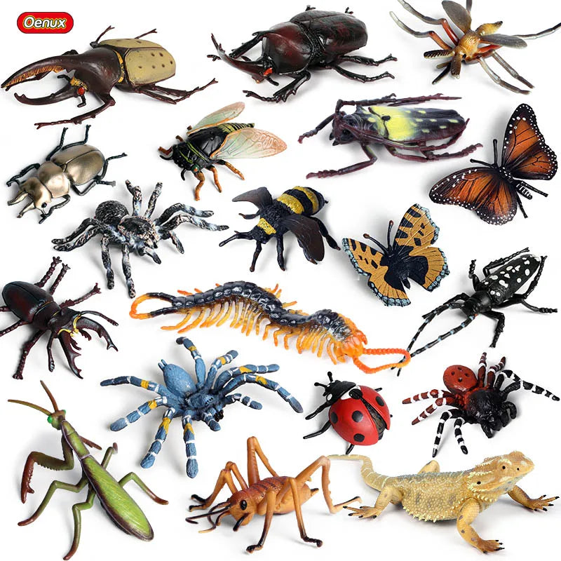 Oenux Insect Animals Model Figurine Butterfly Ant Dragonfly Spider Bee Mantis Scorpion Action Figures Educational Kid Toy Gift