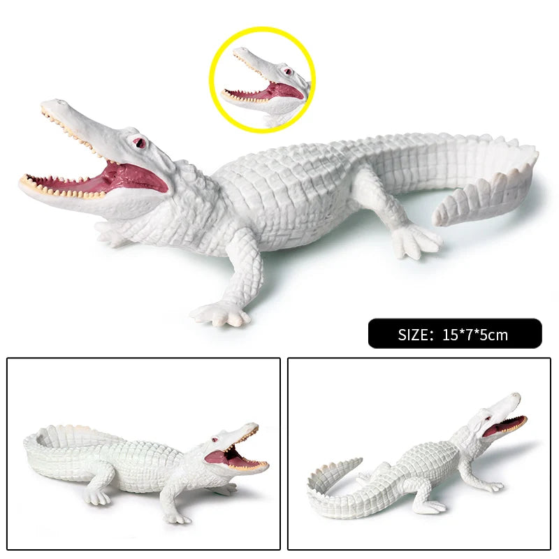 Oenux Wild Animals Action Figures Simulation Sarcosuchus Crocodiles Boar Croc Model PVC Collection Decorate Kids Educational Toy