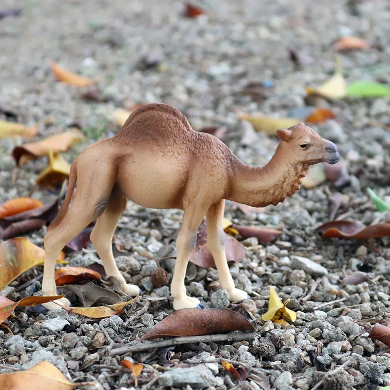 Oenux Simulation Wild Animals Toy Desert Camel Donkey Alpaca Antelope Elk Deer Model Action Figures PVC Decoration Kids Gift