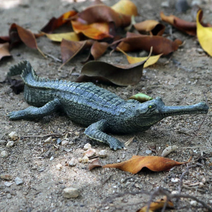 Oenux Wild Animals Action Figures Simulation Sarcosuchus Crocodiles Boar Croc Model PVC Collection Decorate Kids Educational Toy