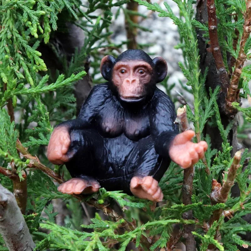 Oenux Simulation Wild Animal Chimpanzee Orangutan Gorilla Tree Sloth Monkey Model Action Figures Garden Miniature Decoration Toy