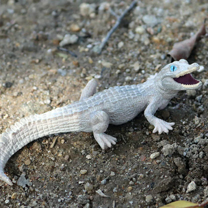 Oenux Wild Animals Action Figures Simulation Sarcosuchus Crocodiles Boar Croc Model PVC Collection Decorate Kids Educational Toy