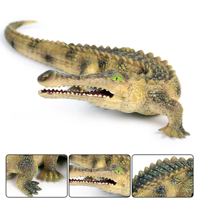 Oenux Wild Animals Action Figures Simulation Sarcosuchus Crocodiles Boar Croc Model PVC Collection Decorate Kids Educational Toy