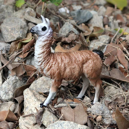 Oenux Simulation Wild Animals Toy Desert Camel Donkey Alpaca Antelope Elk Deer Model Action Figures PVC Decoration Kids Gift