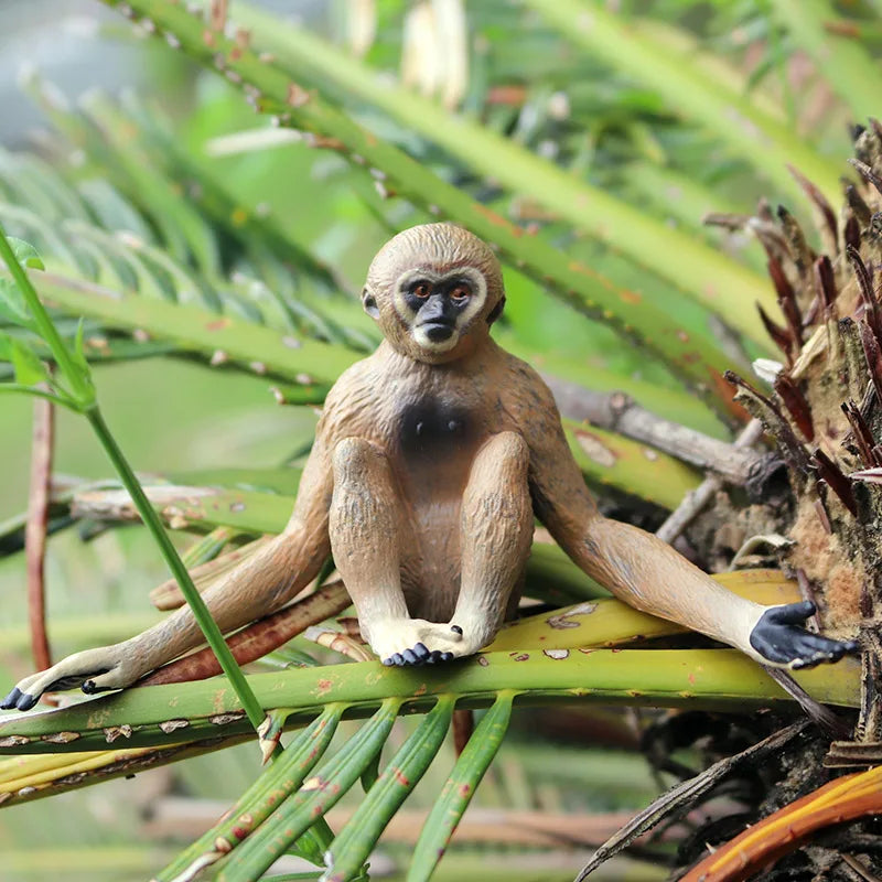 Oenux Simulation Wild Animal Chimpanzee Orangutan Gorilla Tree Sloth Monkey Model Action Figures Garden Miniature Decoration Toy