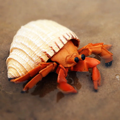 Oenux Ocean Animals Simulation Hermit Crab Nautiloidea Octopus Sea Life Model Figurines Action Figures Collection Kids Toy Gift