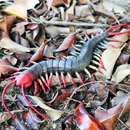 Oenux Insect Animal Wild Reptile Model Soft TPR Mantis Lizard Chameleon Housefly Gekko Action Figures Halloween Trick Kid Toy