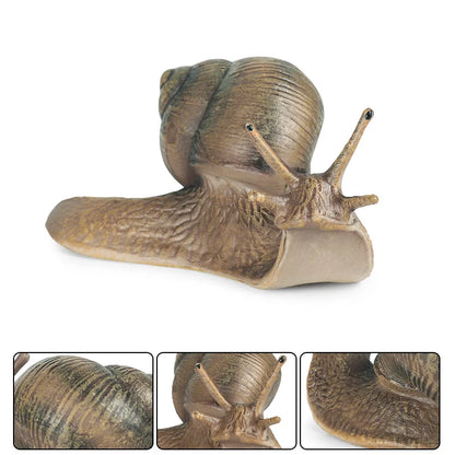 Oenux Wild Insect Animals Snails Growth Cycle Model Garden Decoration Figurines PVC Miniature Cute Education Kids Toys