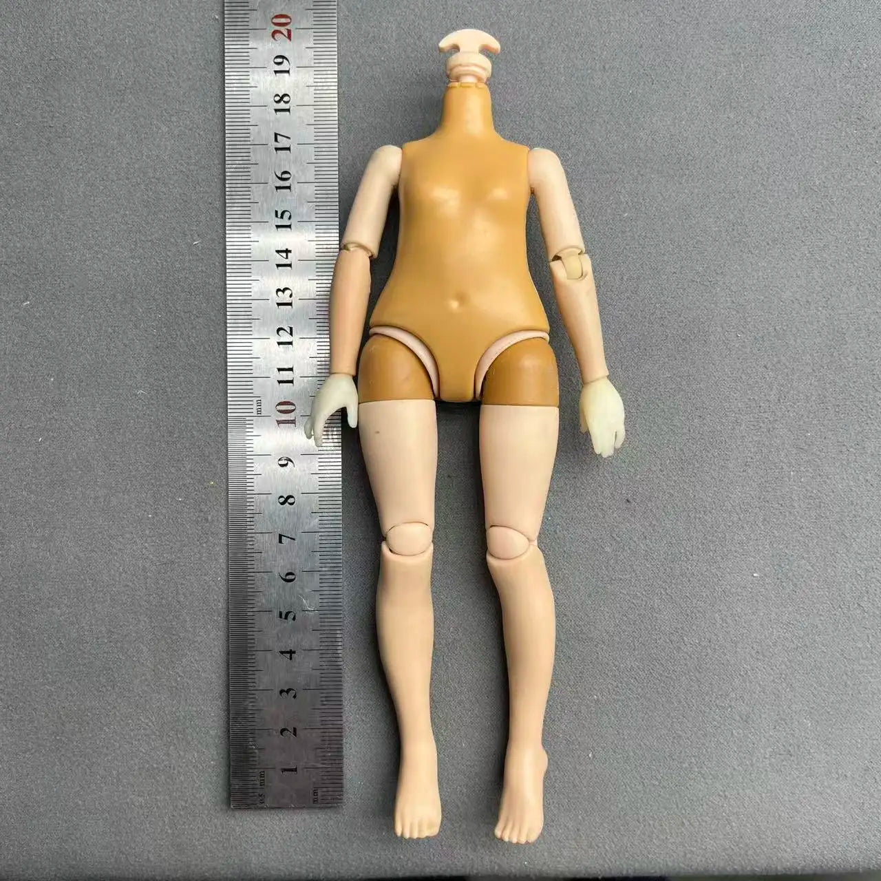 Original Slim Rainbow Middle School Doll Series 24cm Junior High School Sister and 28cm Big Sister Body DIY Toys