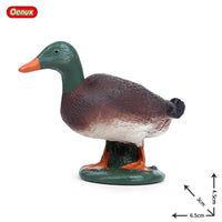 animals model 33