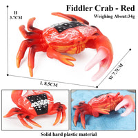 animal model 25