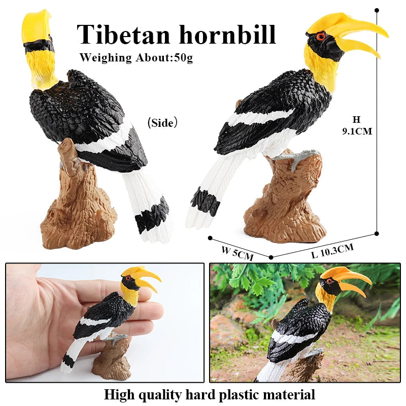 Oenux Garden Bird Figurines Snowy Owl Toucan Bucerotidae Animals Model PVC Action Figures Collection Toys For Kids Birthday Gift