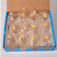 12pcs single yolk