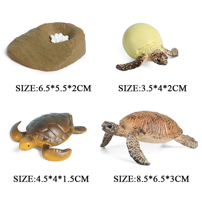 Oenux Ocean Animals  Leatherback Tortoise Turtle Growth Cycle Sea Life Model Figurines Action Figures PVC Education Kid Toy Gift