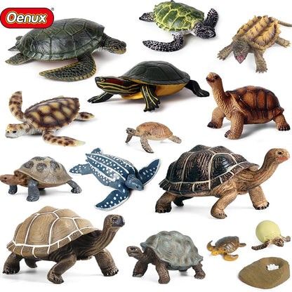 Oenux Ocean Animals  Leatherback Tortoise Turtle Growth Cycle Sea Life Model Figurines Action Figures PVC Education Kid Toy Gift
