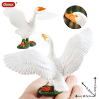 animals model 16