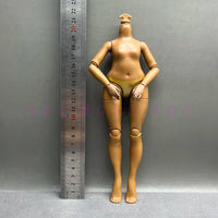 B20-Height 24cm