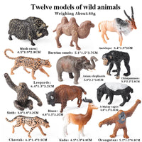 12pcs 1